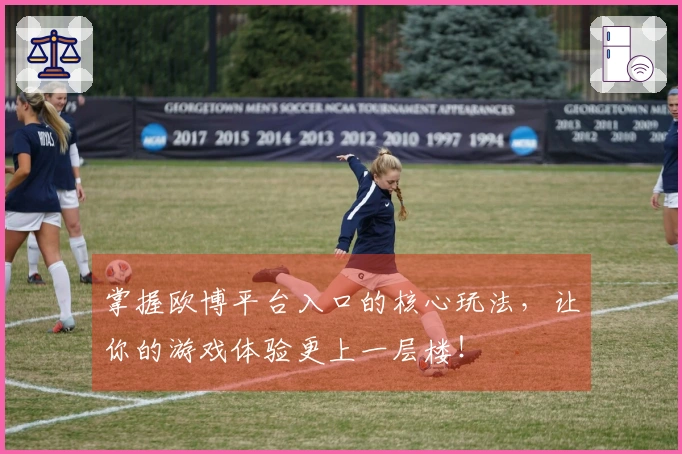 掌握欧博平台入口的核心玩法，让你的游戏体验更上一层楼！